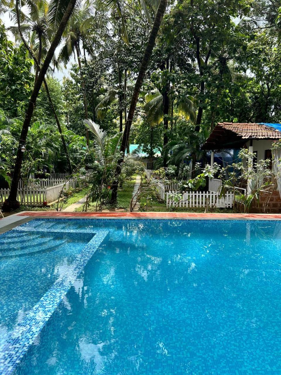 King Villa Goa Palolem Kültér fotó